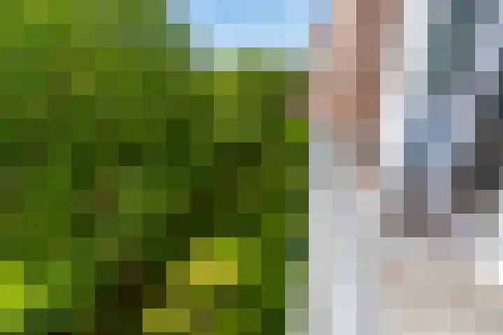 Fahrenheitlaan 6 3 Utrecht thumbnail 5