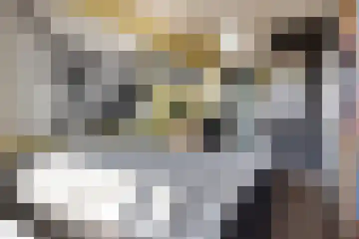 Fahrenheitlaan 608 Terneuzen thumbnail 11