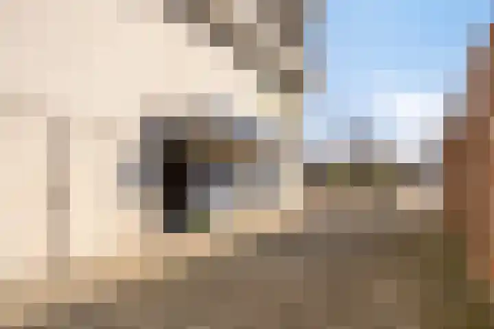Fahrenheitlaan 608 Terneuzen thumbnail 16