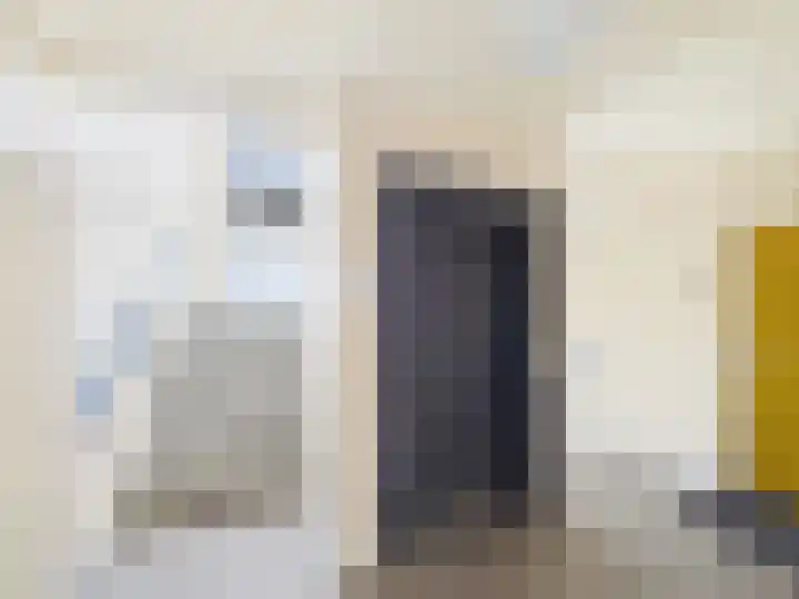 Fahrenheitlaan 632 Terneuzen thumbnail 17