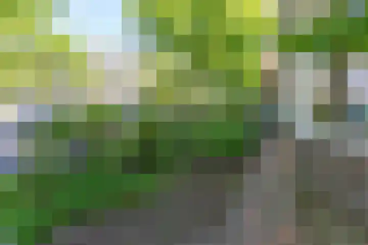 Fahrenheitsingel 101 Amsterdam thumbnail 36