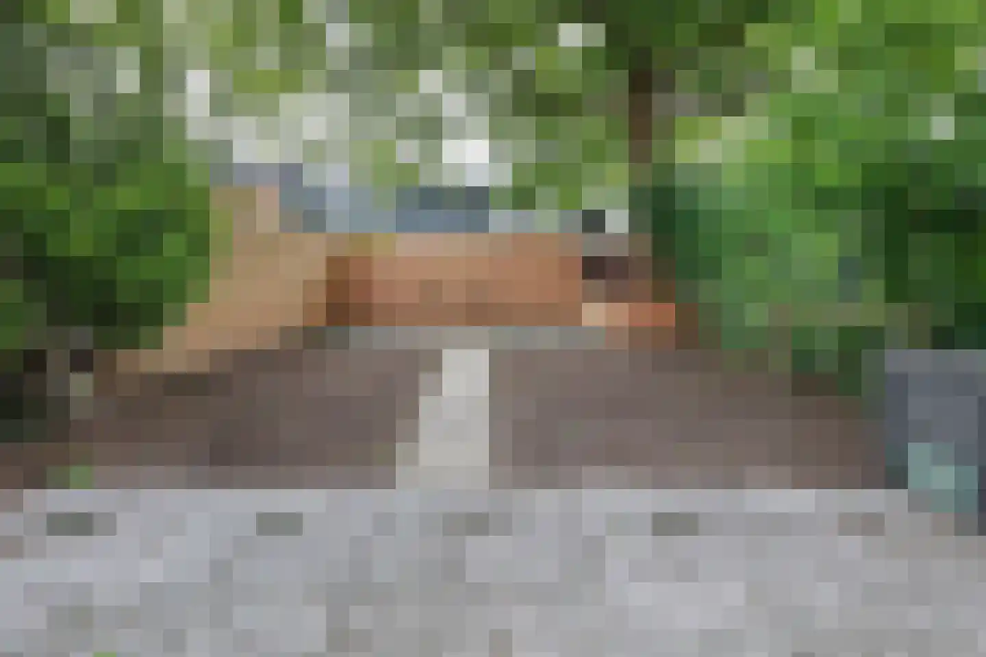 Fahrenheitsingel 23 Amsterdam thumbnail 17