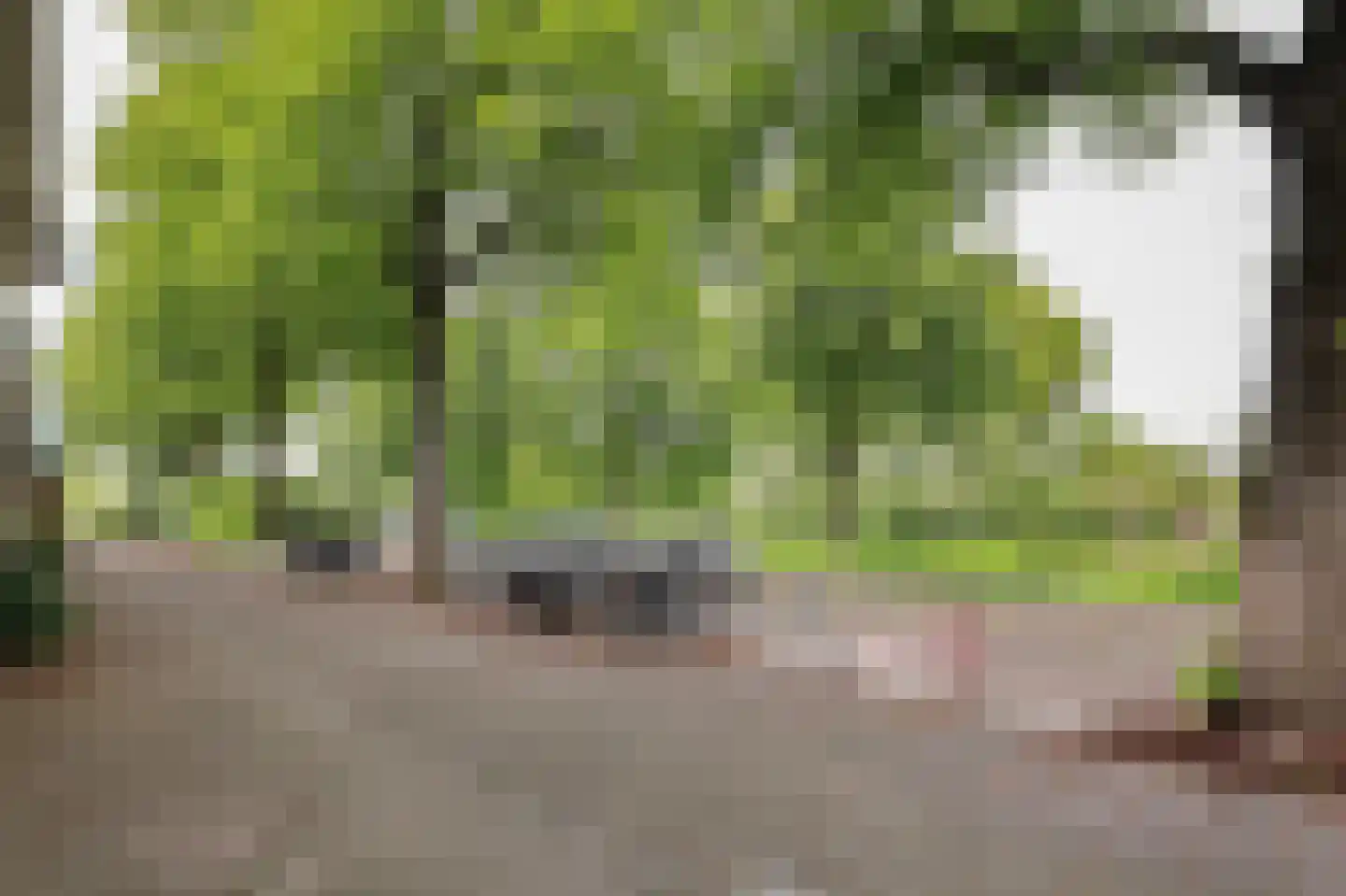 Fahrenheitsingel 23 Amsterdam thumbnail 30
