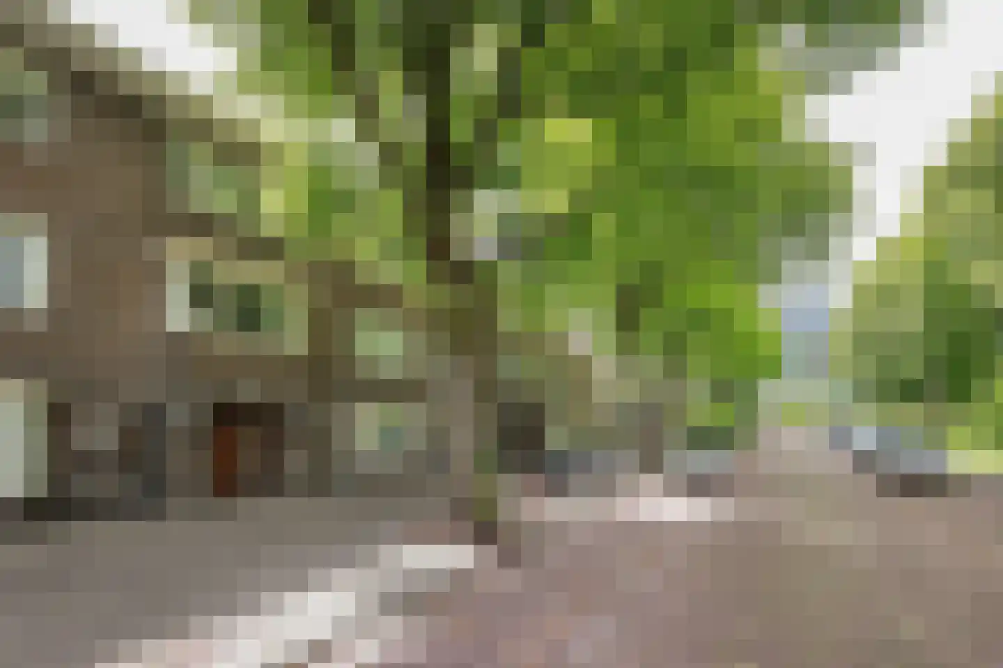 Fahrenheitsingel 23 Amsterdam thumbnail 32