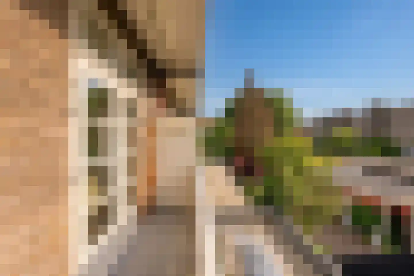 Fahrenheitsingel 75 Amsterdam thumbnail 22