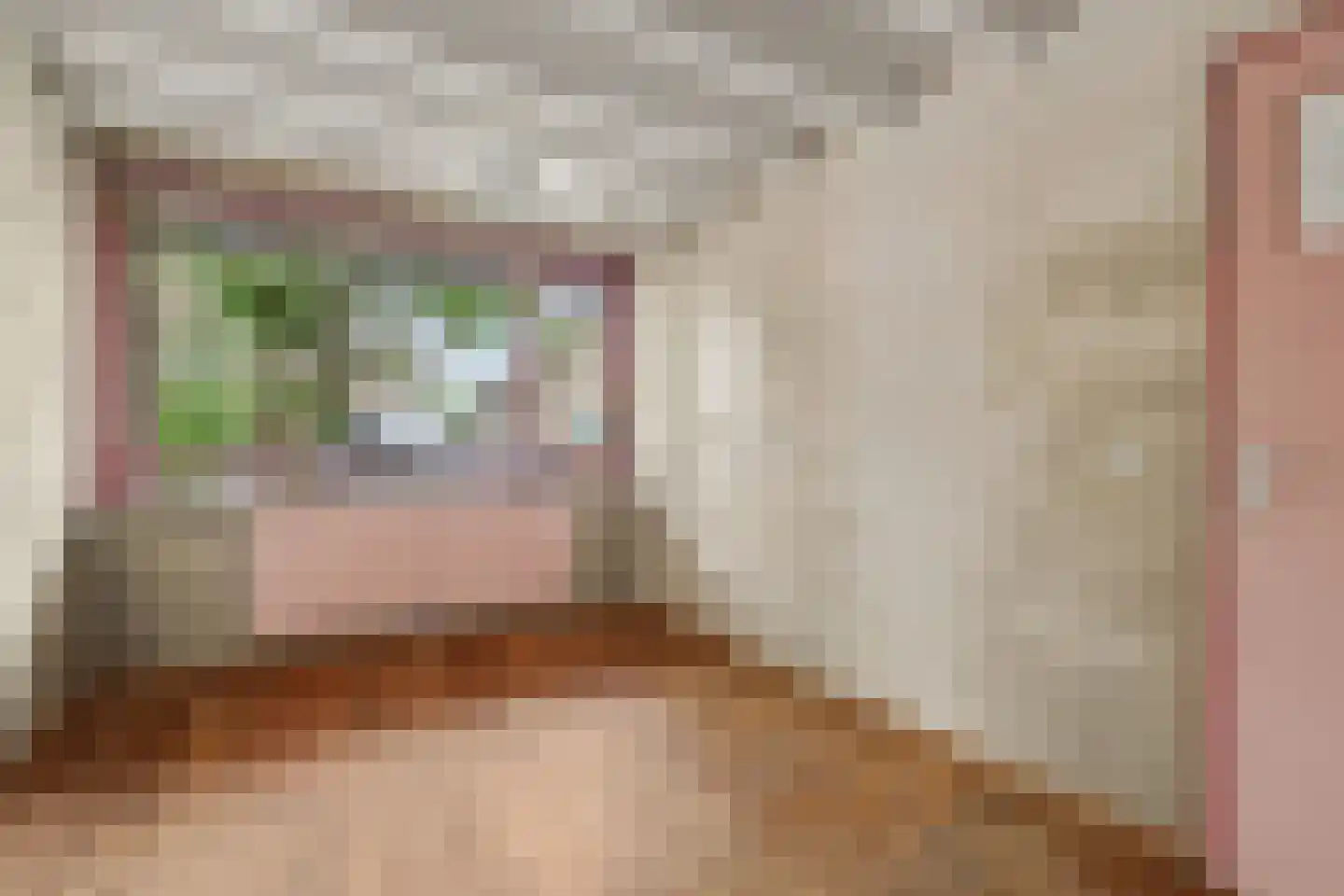 Fahrenheitstraat 1 Kruiningen thumbnail 11
