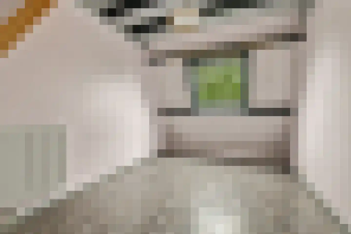 Fahrenheitstraat 1 Kruiningen thumbnail 15