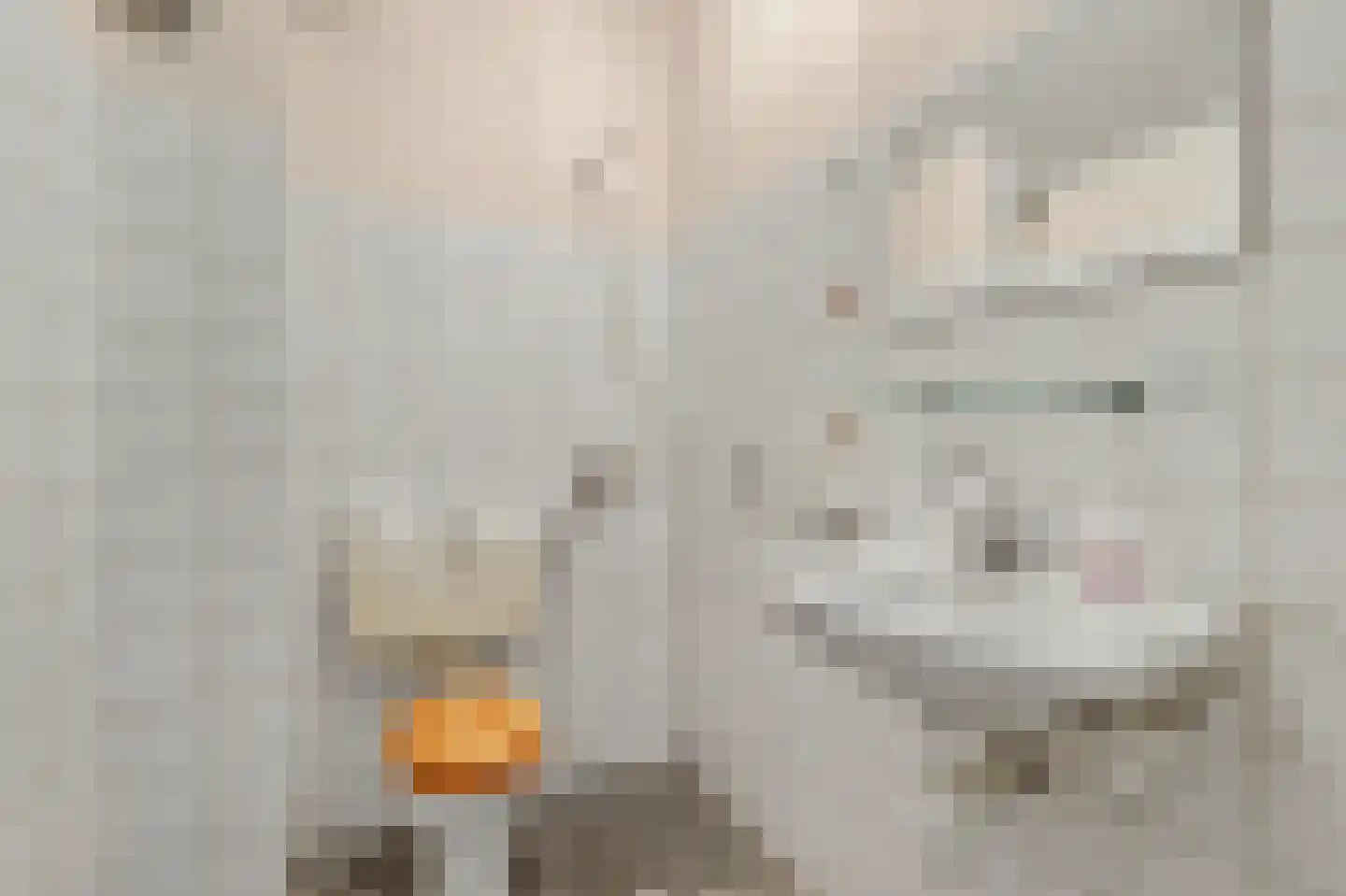 Fahrenheitstraat 1 Kruiningen thumbnail 19