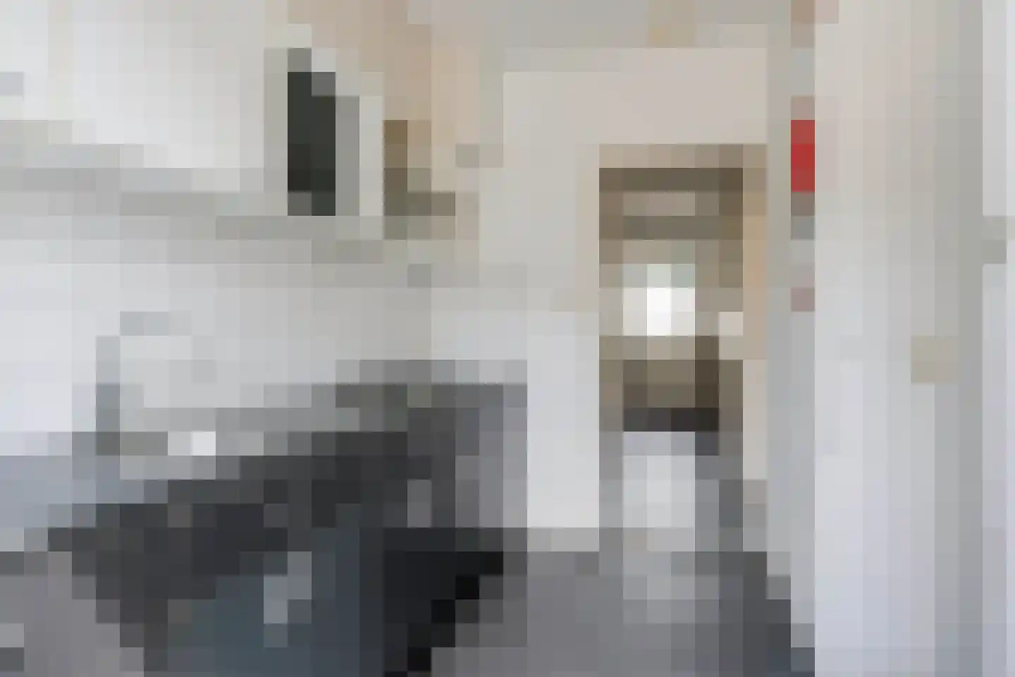Fahrenheitstraat 11 Den Bosch thumbnail 10