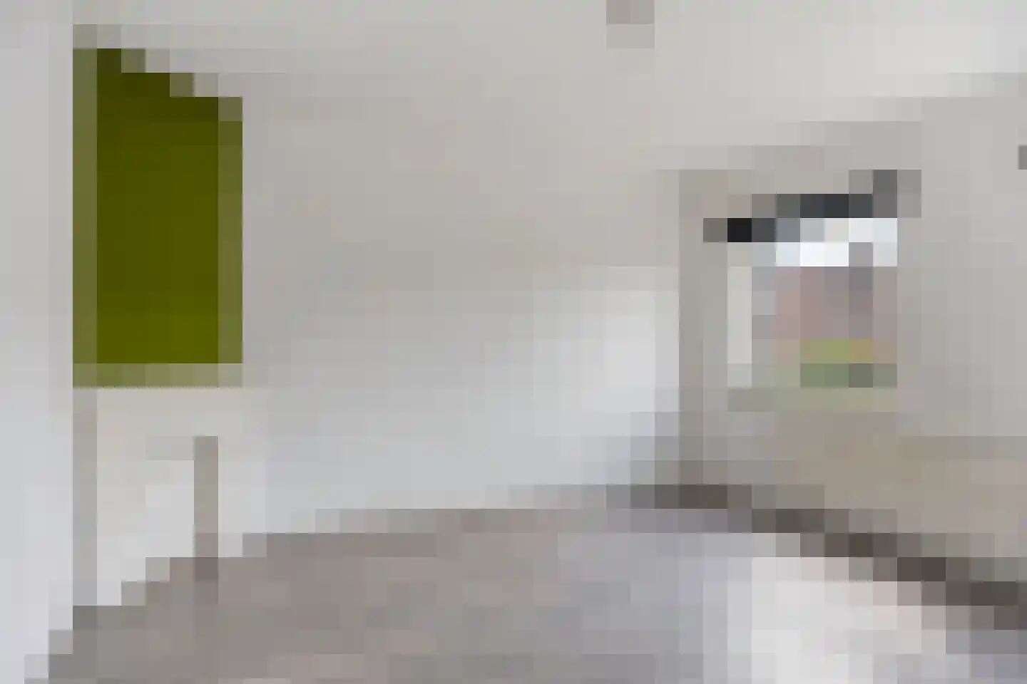 Fahrenheitstraat 11 Den Bosch thumbnail 17