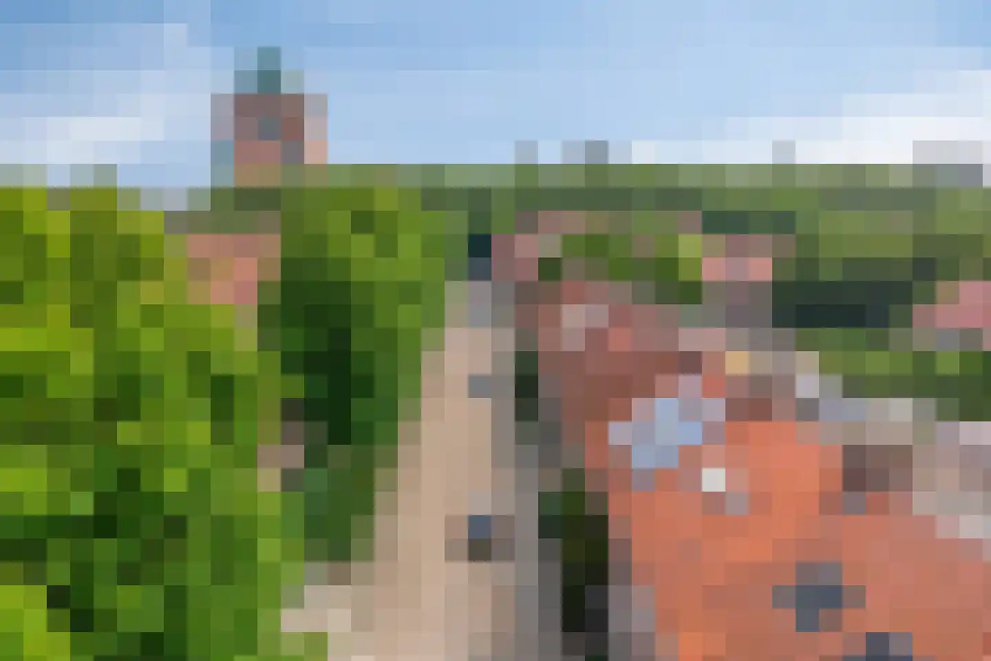 Fahrenheitstraat 11 Den Bosch thumbnail 33