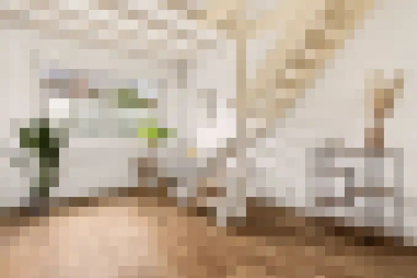 Fahrenheitstraat 114 Amsterdam thumbnail 11