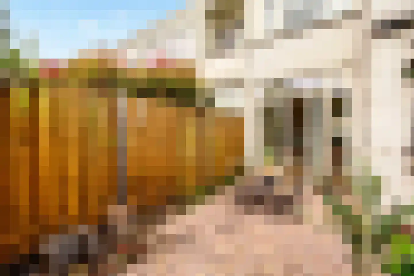 Fahrenheitstraat 114 Amsterdam thumbnail 22