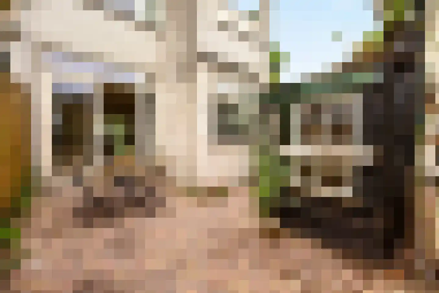 Fahrenheitstraat 114 Amsterdam thumbnail 8