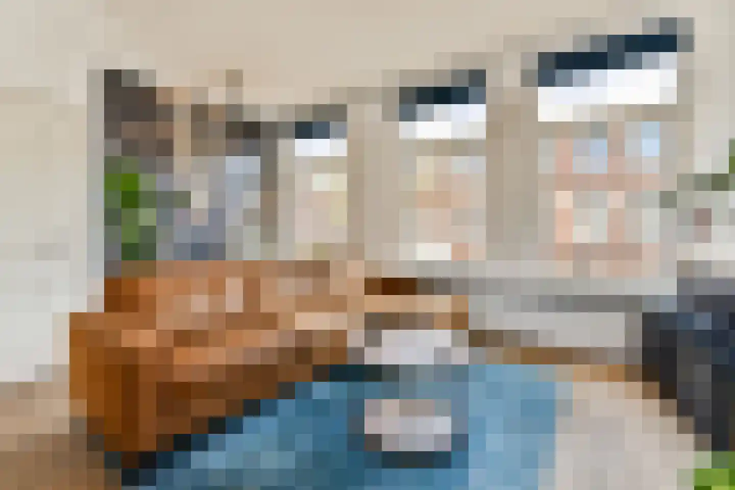 Fahrenheitstraat 120 Den Haag thumbnail 6