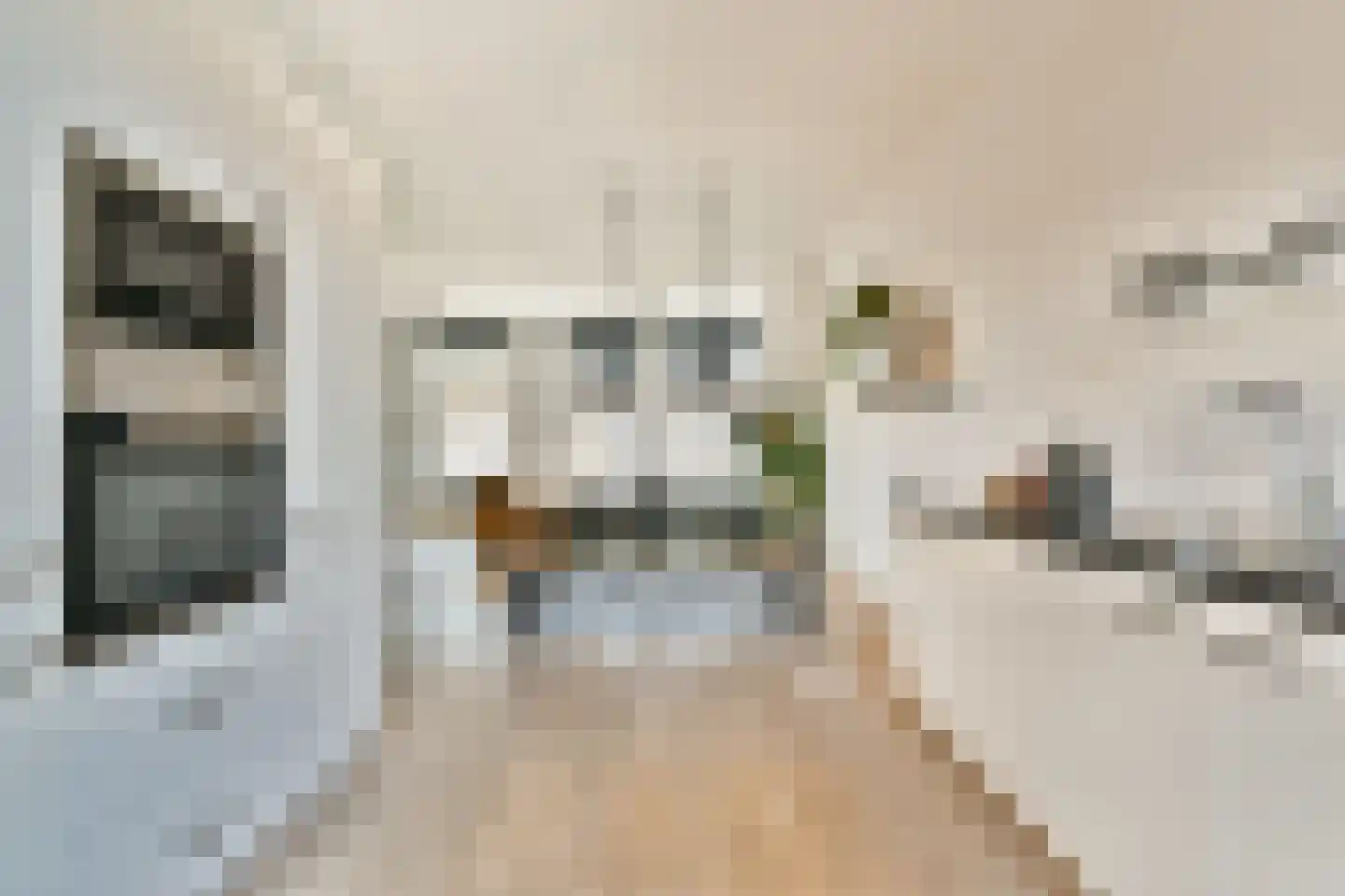 Fahrenheitstraat 120 Den Haag thumbnail 8
