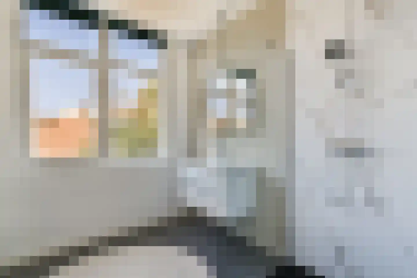 Fahrenheitstraat 120 Den Haag thumbnail 9