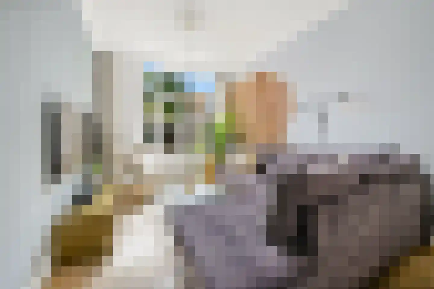 Fahrenheitstraat 124 Den Haag thumbnail 10