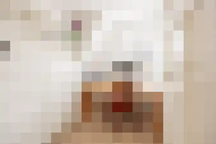 Fahrenheitstraat 15 Amersfoort thumbnail 18