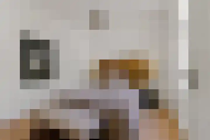 Fahrenheitstraat 197 Den Haag thumbnail 18