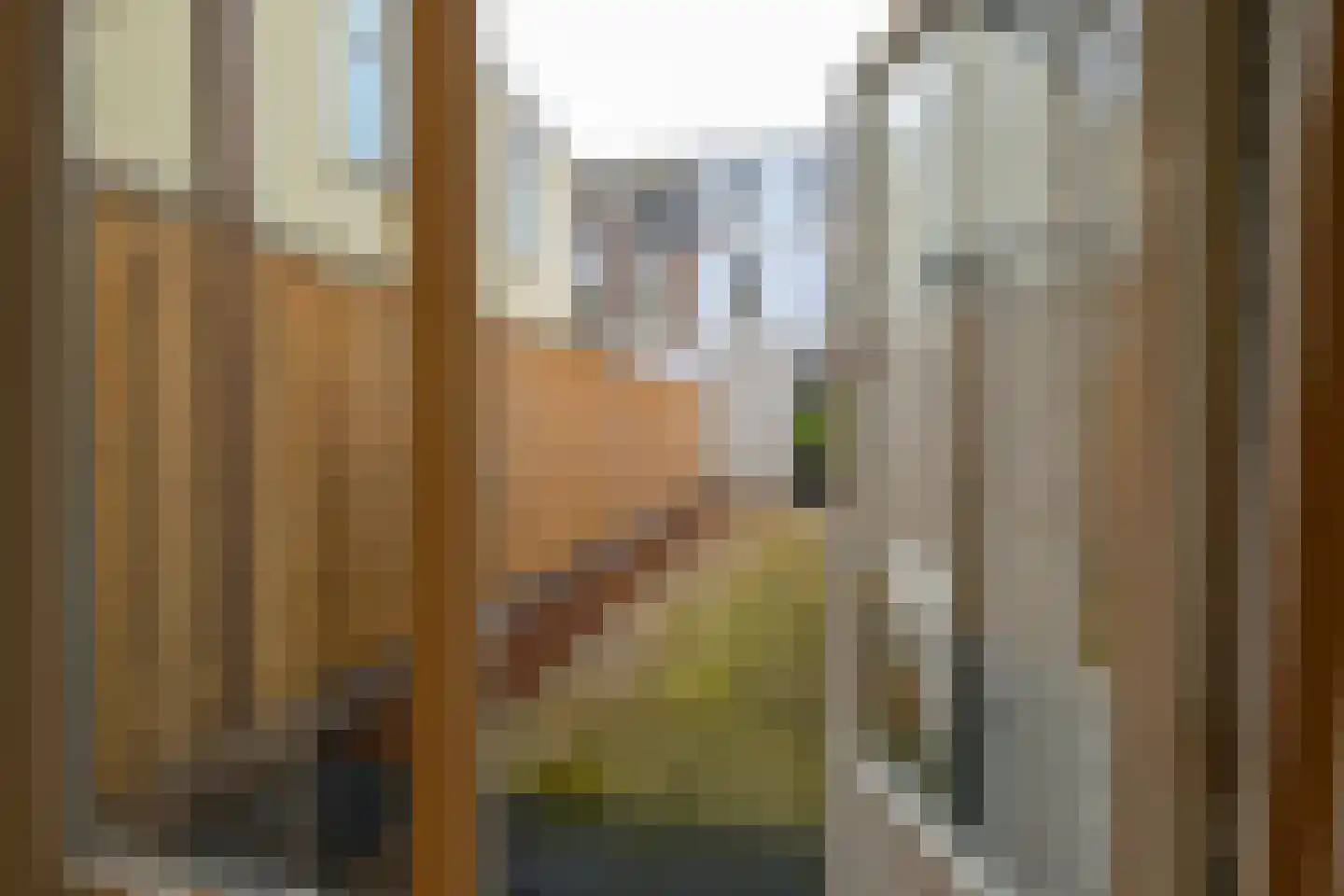 Fahrenheitstraat 197 Den Haag thumbnail 26