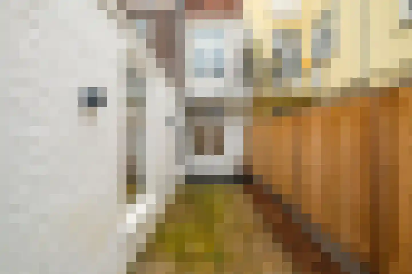 Fahrenheitstraat 197 Den Haag thumbnail 31