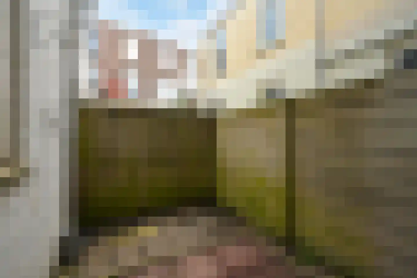 Fahrenheitstraat 207 Den Haag thumbnail 20