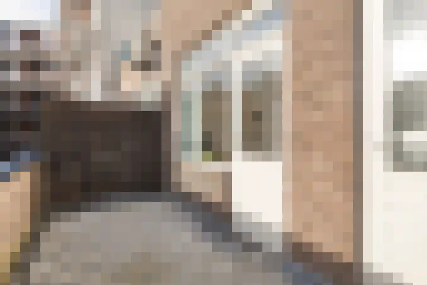 Fahrenheitstraat 23 Schiedam thumbnail 26