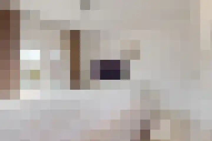 Fahrenheitstraat 31 IJmuiden thumbnail 22