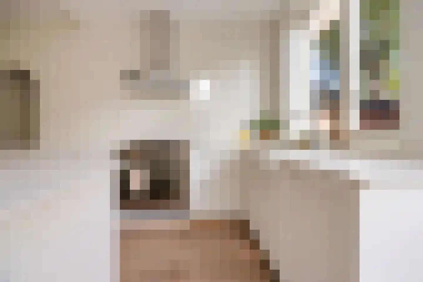 Fahrenheitstraat 375 Den Haag thumbnail 19
