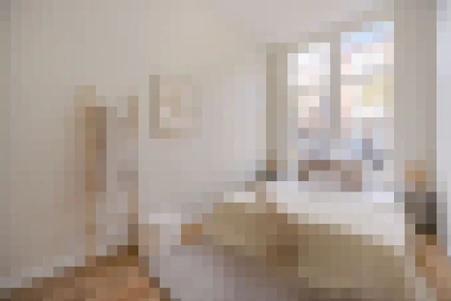 Fahrenheitstraat 375 Den Haag thumbnail 25