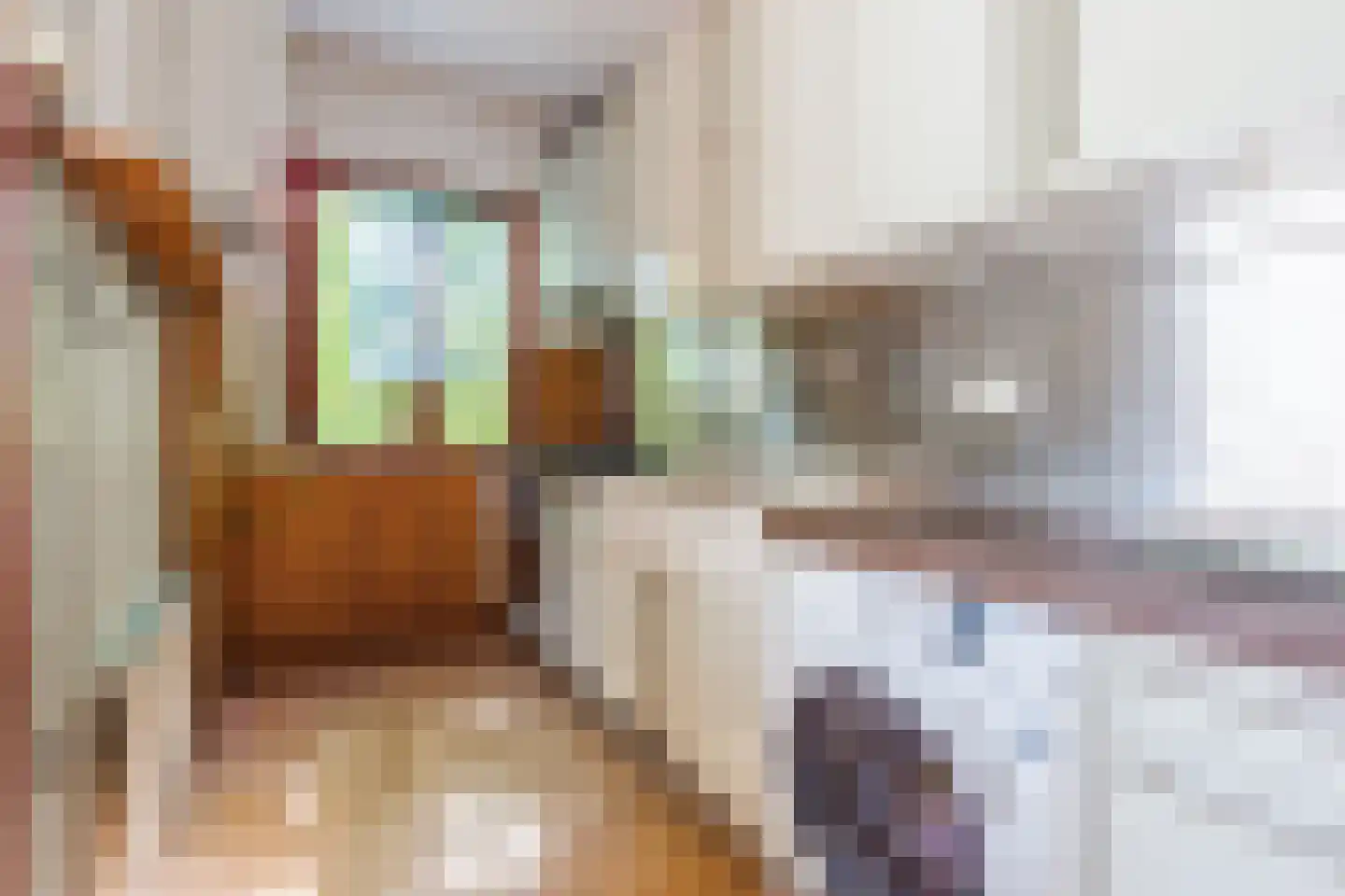 Fahrenheitstraat 38 Amsterdam thumbnail 11