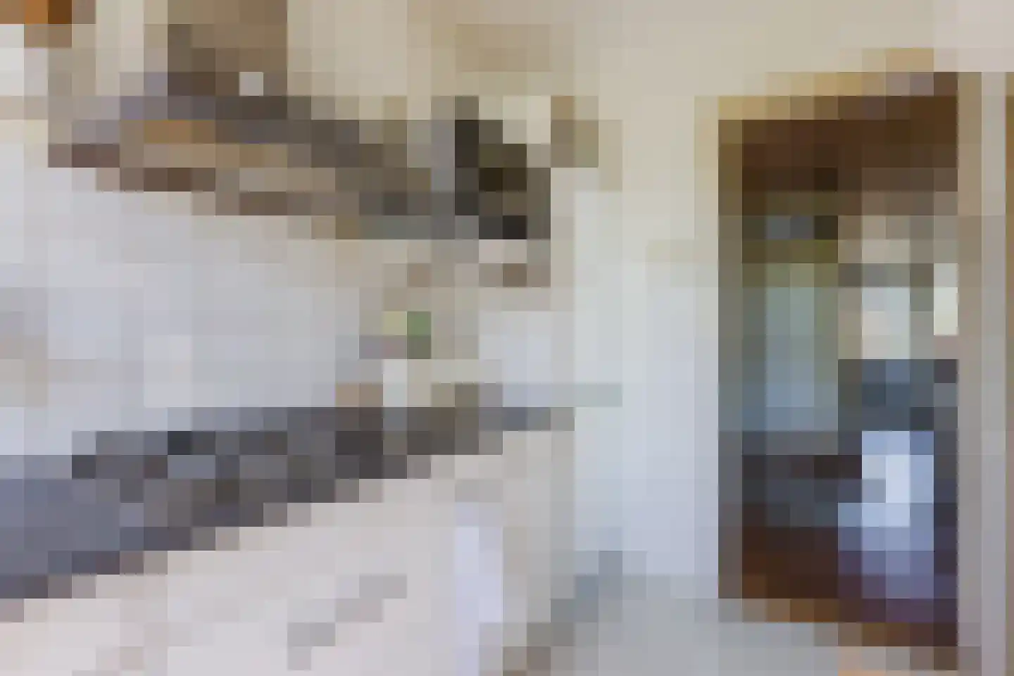 Fahrenheitstraat 38 Amsterdam thumbnail 20