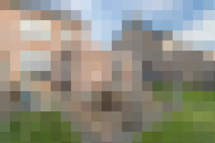 Fahrenheitstraat 38 Kruiningen thumbnail 26