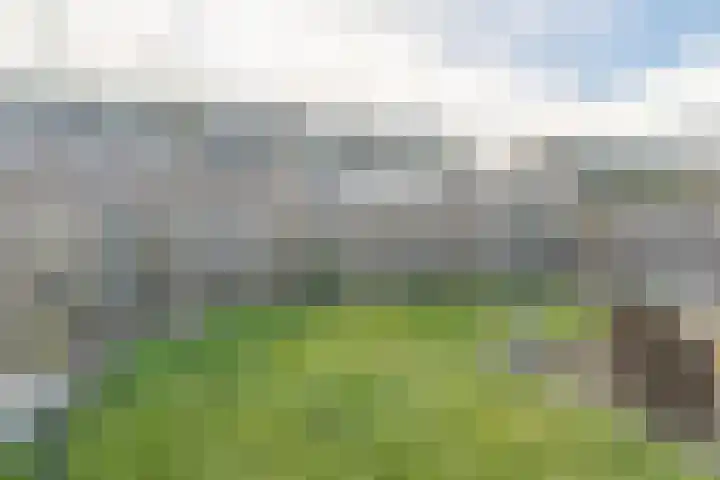 Fahrenheitstraat 38 Kruiningen thumbnail 28