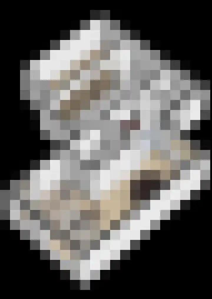 Fahrenheitstraat 38 Kruiningen thumbnail 33