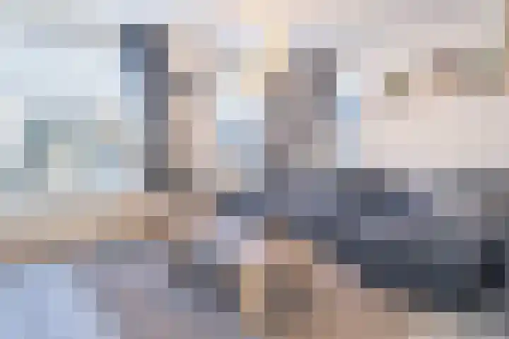 Fahrenheitstraat 38 Kruiningen thumbnail 4