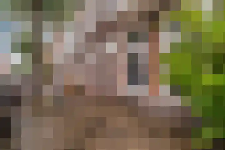 Fahrenheitstraat 395 in Den Haag