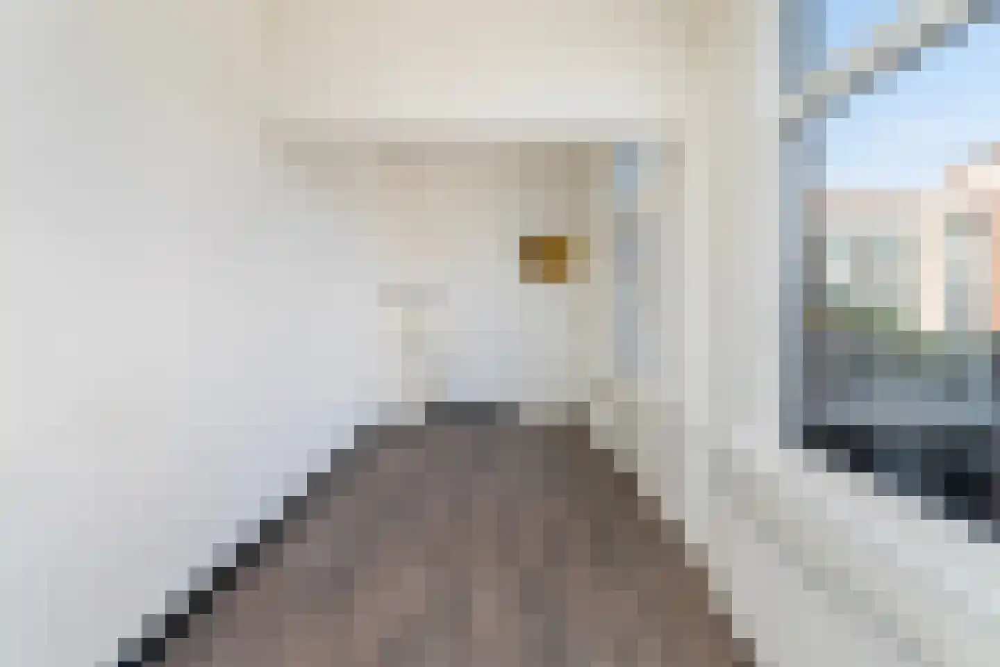 Fahrenheitstraat 425 Den Haag thumbnail 10