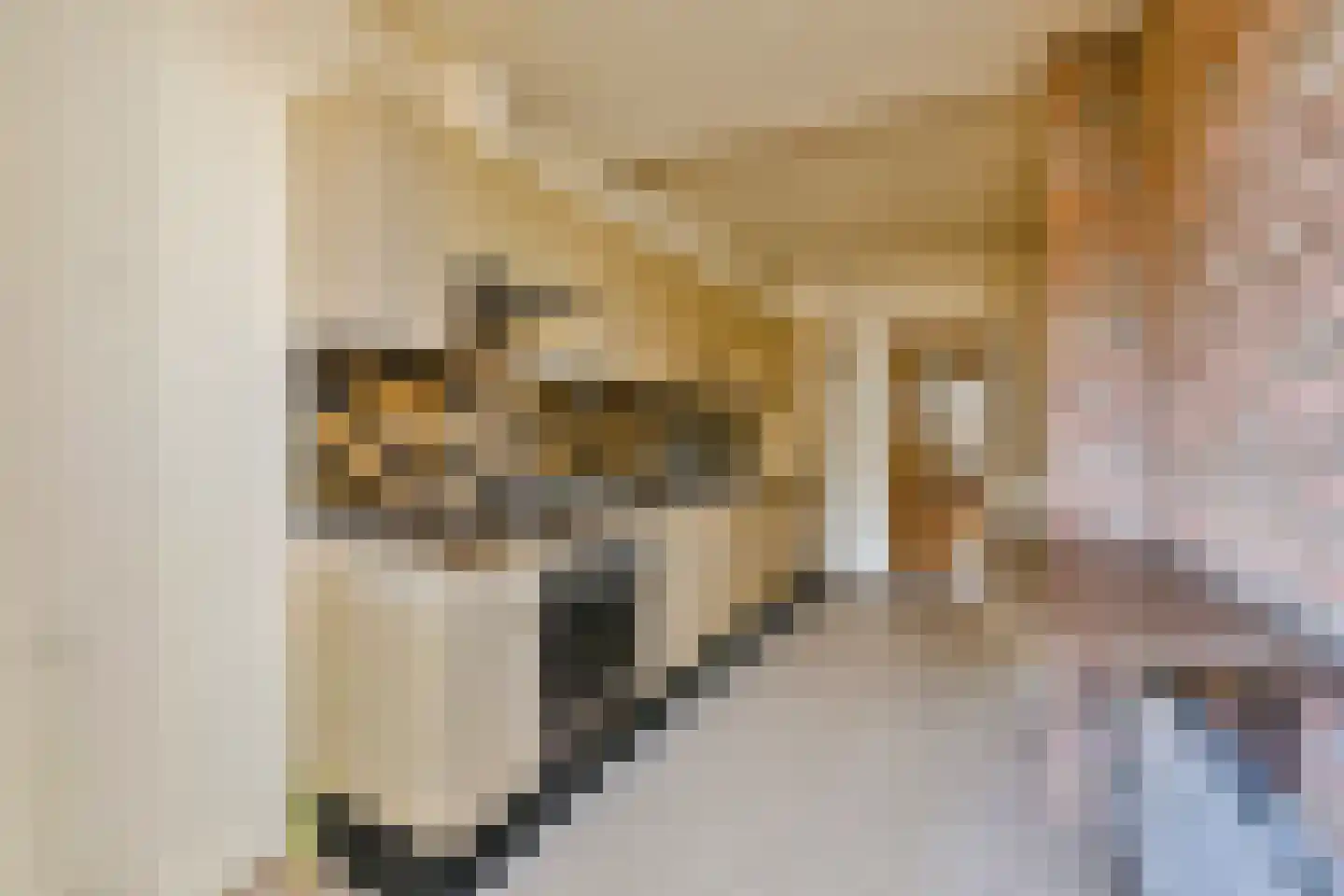 Fahrenheitstraat 43 Zandvoort thumbnail 8
