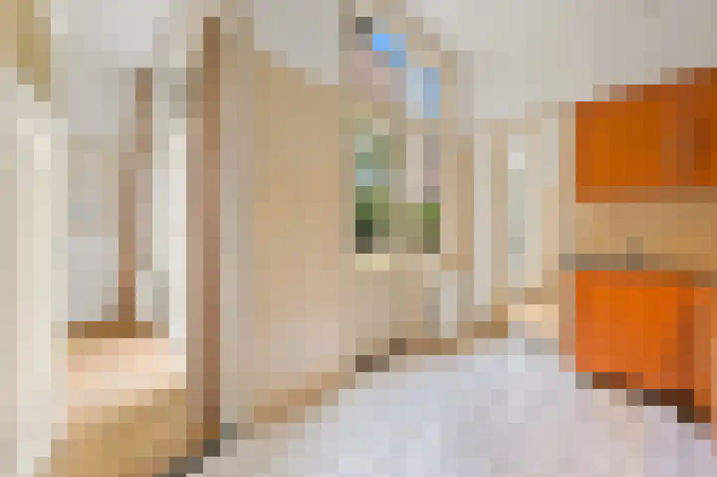 Fahrenheitstraat 453 Den Haag thumbnail 18