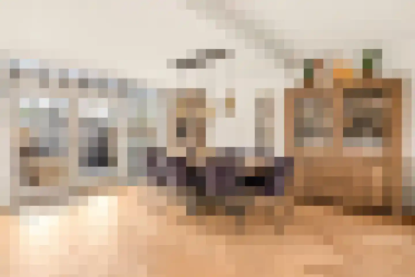 Fahrenheitstraat 62 Zandvoort thumbnail 6
