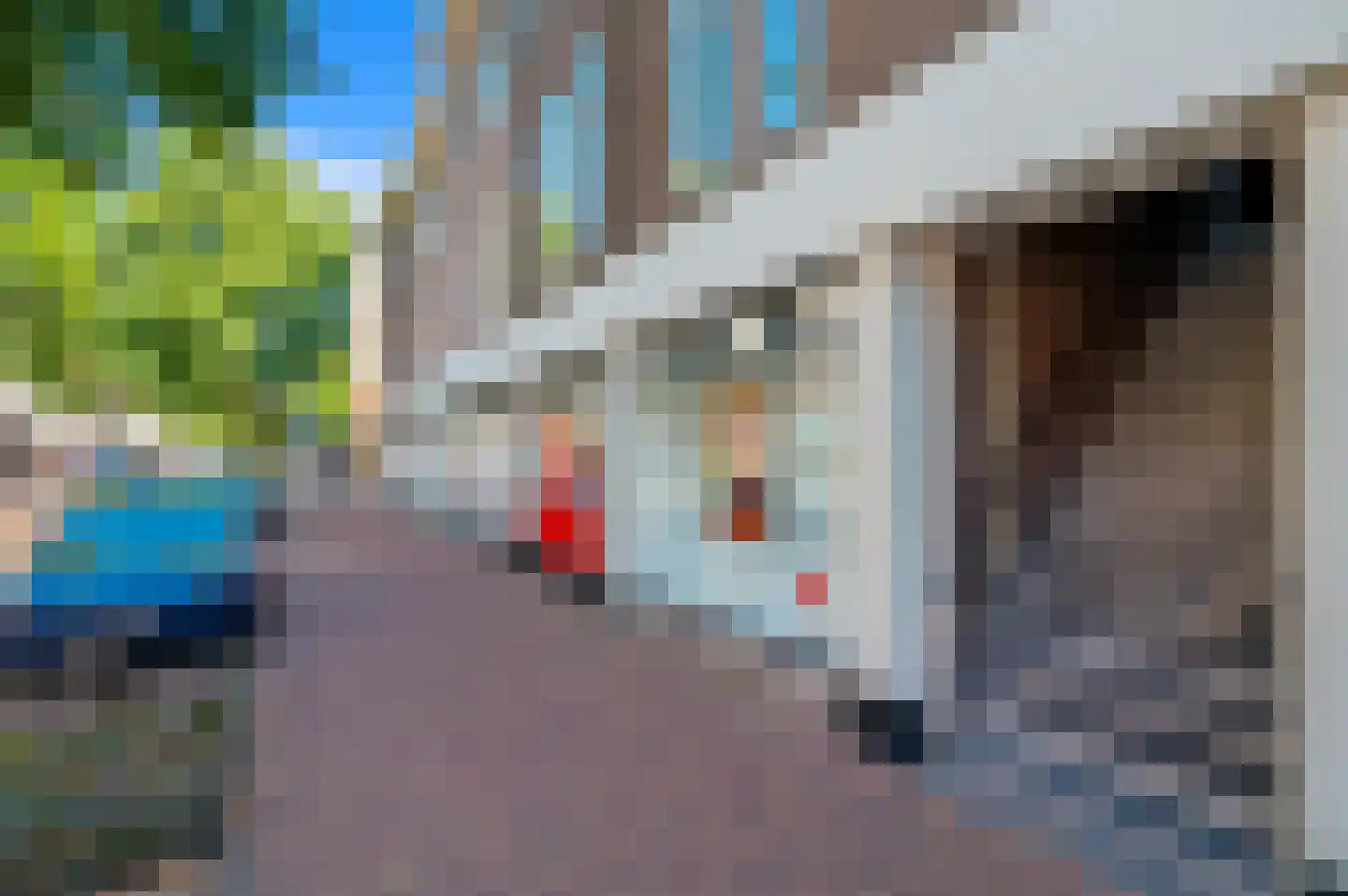 Fahrenheitstraat 651 Den Haag thumbnail 4