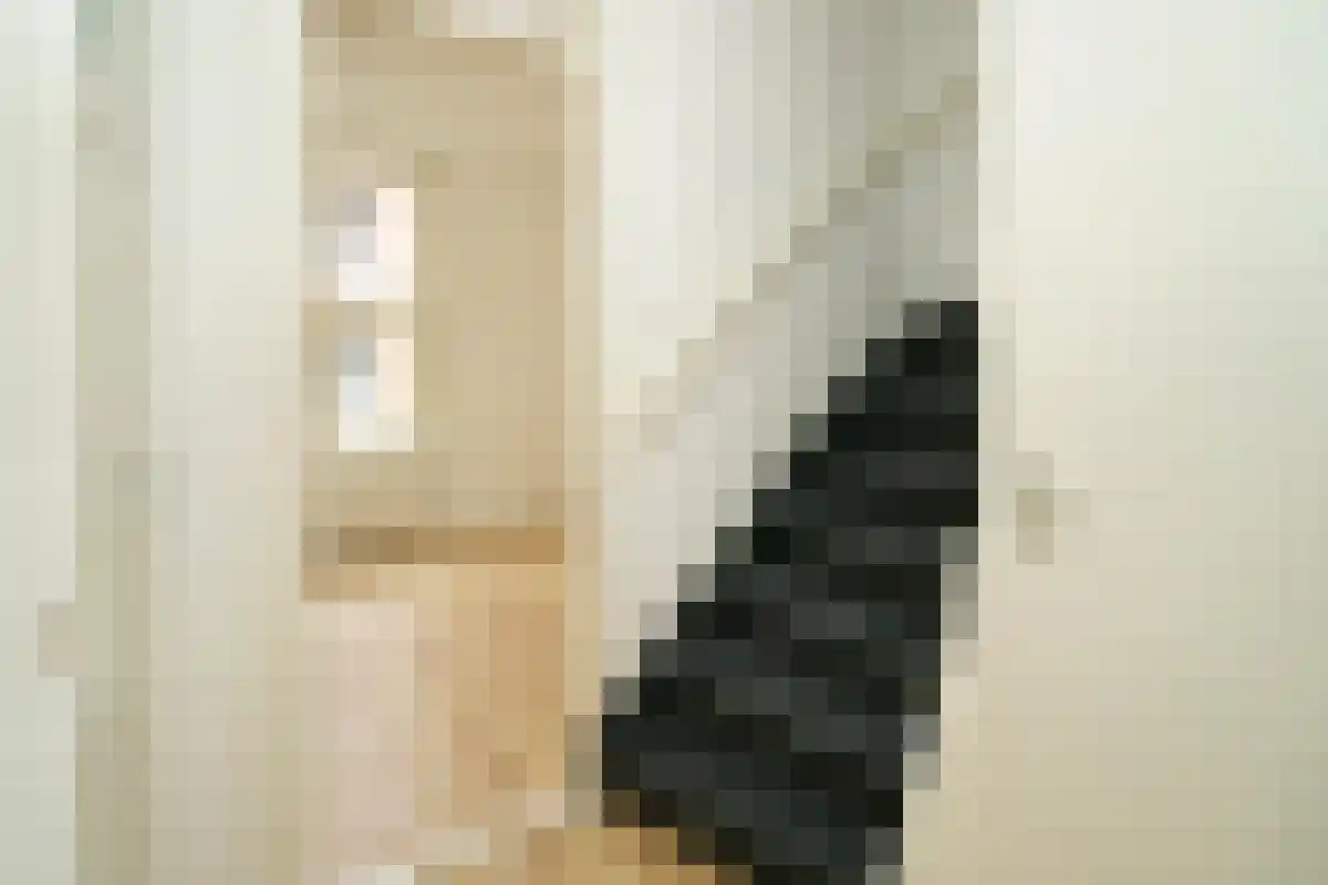 Fahrenheitstraat 71 Den Haag thumbnail 6