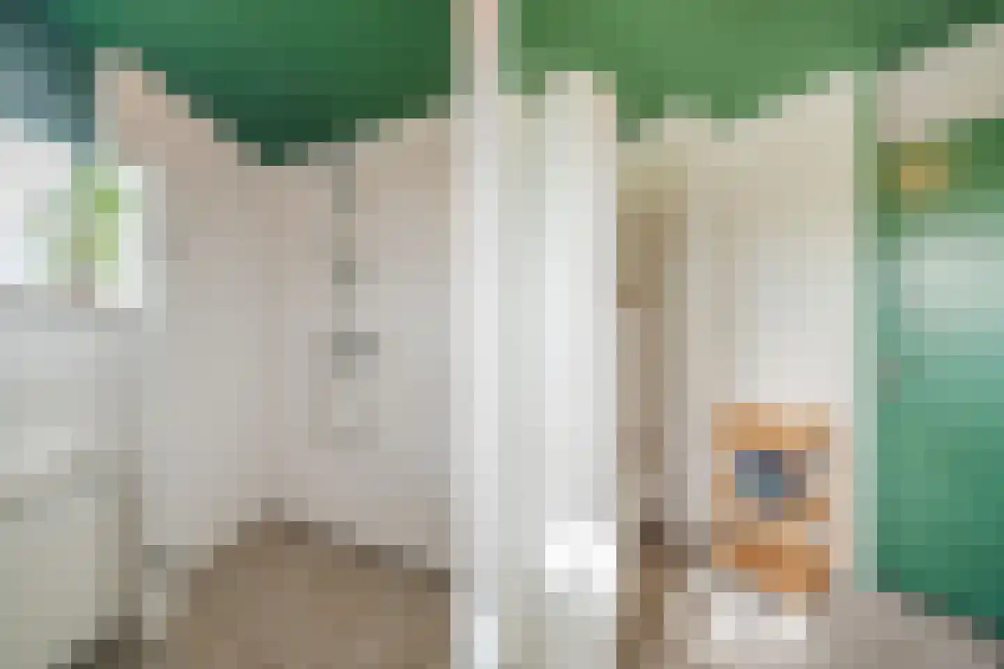 Fahrheuslaan 18 Maarssen thumbnail 23