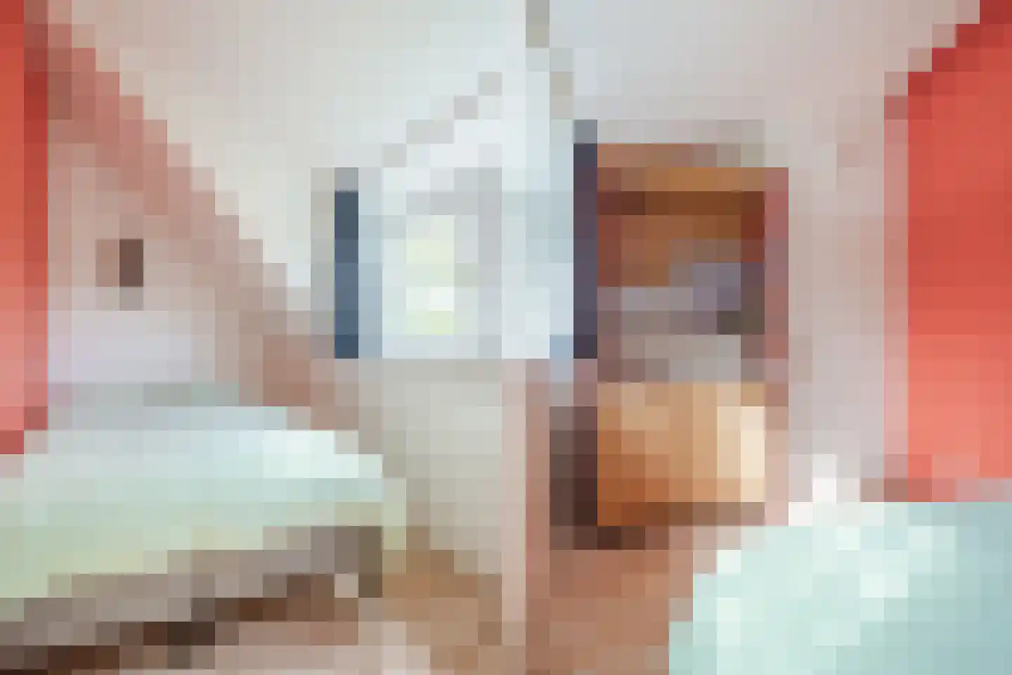 Fahrheuslaan 18 Maarssen thumbnail 26