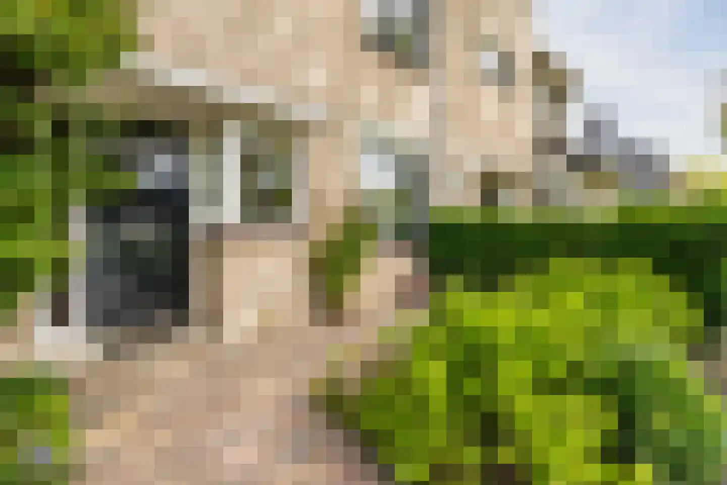 Fahrheuslaan 18 Maarssen thumbnail 38
