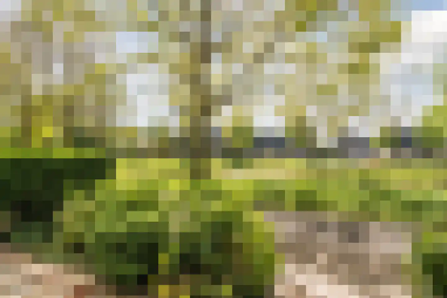Fahrheuslaan 18 Maarssen thumbnail 39