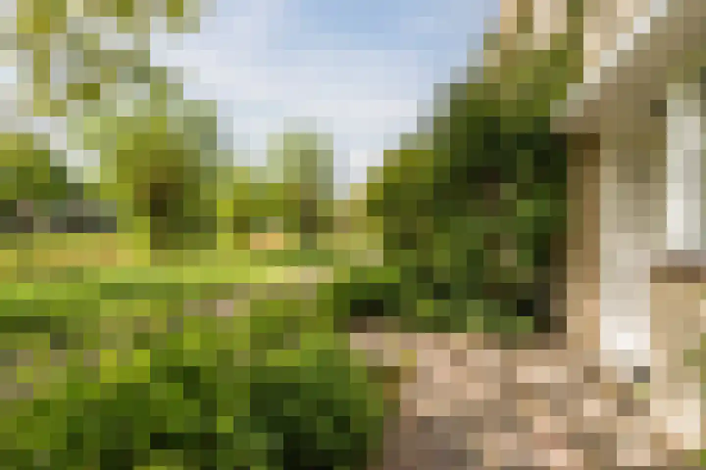 Fahrheuslaan 18 Maarssen thumbnail 40
