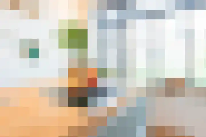 Faisantenstraat 3 Hilversum thumbnail 10